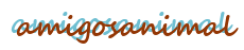 Amigos Animal – Creando la mejor vida para tu mascota