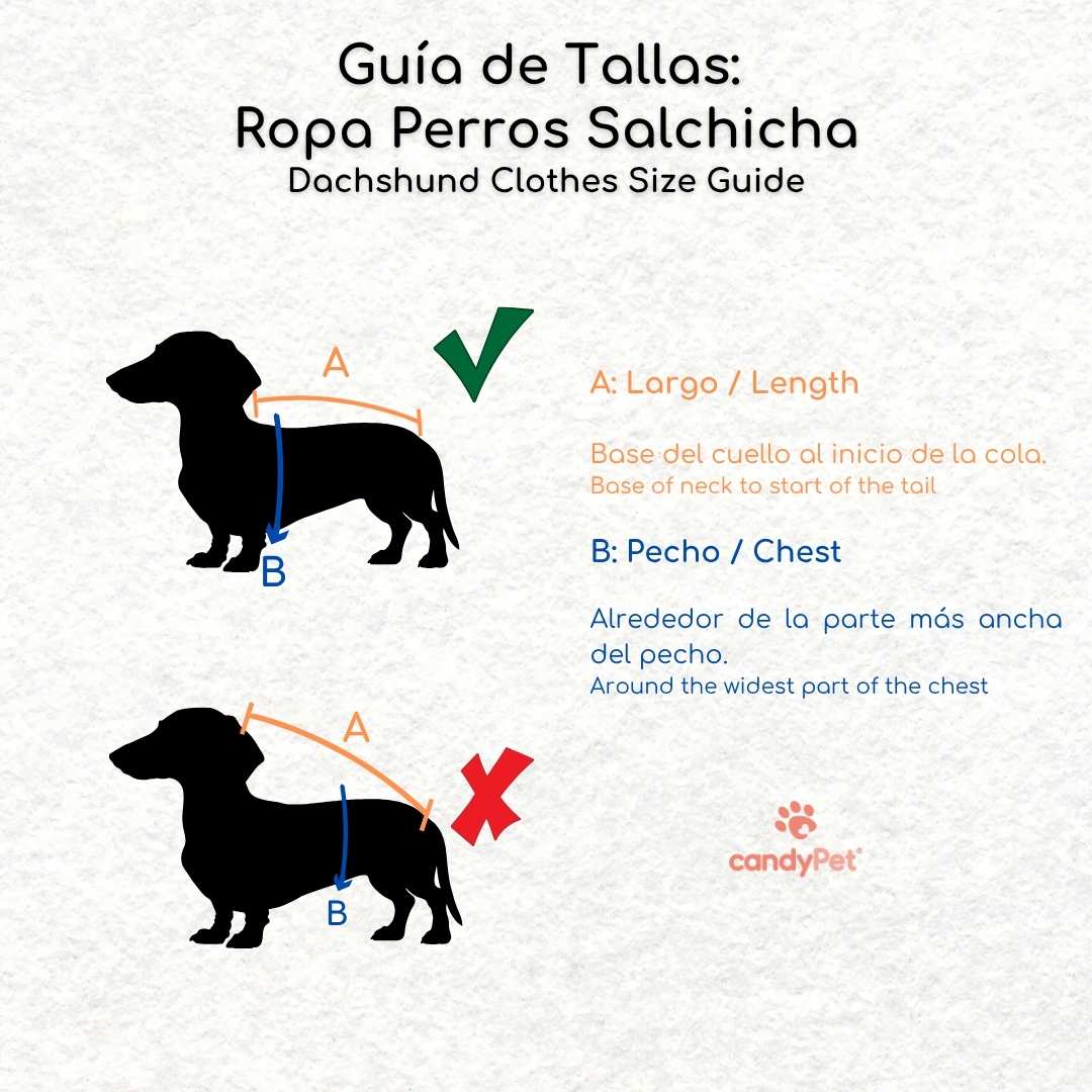 Jersey Teddy para Perros Salchichas - Imagen 5